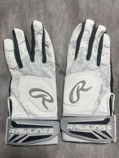 Item thumbnail for item d26dd8e6-9053-4747-b5f3-1629d2768731