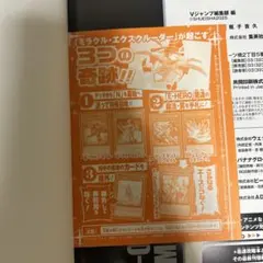 ミラクル•エクスクルーダー GX アニメコンプリートガイド アカデミア