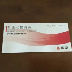東急グループ株主優待券セット