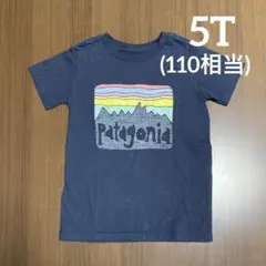 Patagonia パタゴニア Tシャツ 5Tのサムネイル
