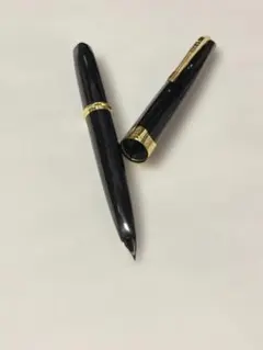 PLATINUM 万年筆 ネイビー F字 金ペン プロシオン プラチナ万年筆 を金