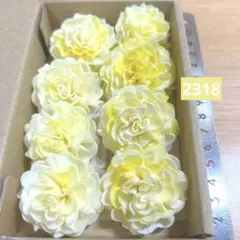 ソラフラワー　2318