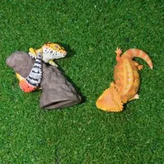 Item thumbnail for item d2970ab2-3e23-4c47-8297-2171be19a800