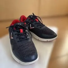 Item thumbnail for item 8e8bd816-5104-481b-8f5b-8f305e3fbb46