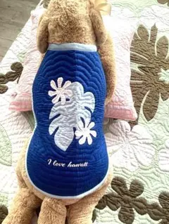 Item thumbnail for item c111fbe2-af0e-4eed-9403-6a69a1f2a552