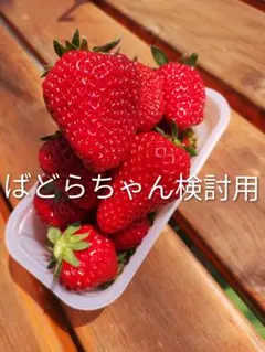 ばどらちゃん確認用