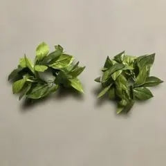 葉っぱデザイン バングル2個セット