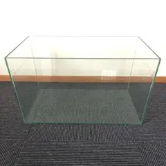 2026年最新】ガラス 水槽 90×45×45の人気アイテム - メルカリ