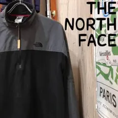 THE NORTH FACEザノースフェイスプルオーバーフリースL古着(1571