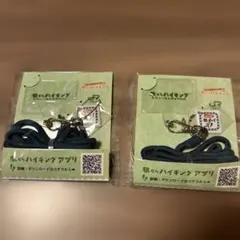 JR東日本　駅からハイキング 参加賞　ネックストラップ