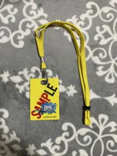 SMAP SAMPLE TOUR 2005 ラミネートパス