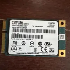 TOSHIBA mSATA SSD★256GB★使用時間：103ｈ