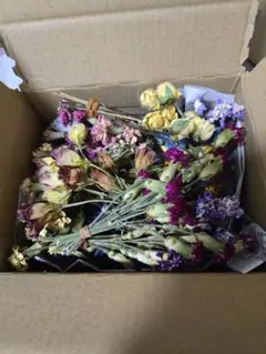 ドライフラワー 花材 インテリア