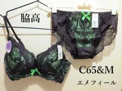 【新品】エメフィール　カシュクールレース脇高　メロン×ブラック　C65&M