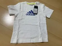 Item thumbnail for item d81cb2a9-a5d1-42e7-8705-837e34b1aa7f