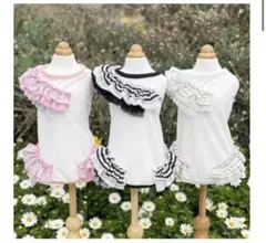 GODPIVA スーパークールボーダータンク