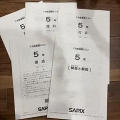 ハルタロウ様専用ページSAPIX 5年 7月復習テスト