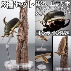 水生昆虫02 ゲンゴロウ ディスプレイスタンド＆止まり木付き 全4種