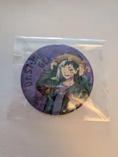 ドクターストーン　eeo フライトジャケット　あさぎりゲン　缶バッチ