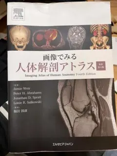 Item thumbnail for item f758c547-7ebc-4cda-8eea-12c47e5ceb5c