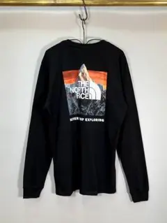 ★新品/US輸入品/THE NORTH FACE/BOX NSE長袖Tシャツ/M
