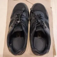 Item thumbnail for item 86785363-5896-4c73-8aca-6e855b9591f9