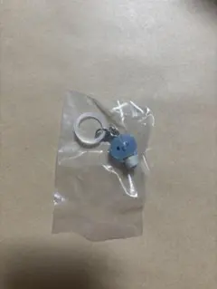 JOCHUM めじるしアクセサリー マイクン
