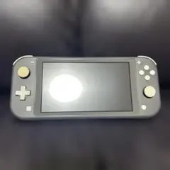 Nintendo Switch Lite グレー ジャンク