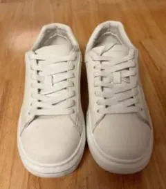 Item thumbnail for item e0e7a65a-f516-40e0-a2ed-42c21cf0c731