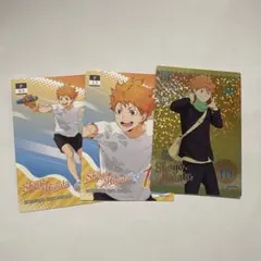 ハイキュー‼︎ 日向翔陽 カード　セット