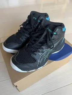 asics バスケットボールシューズ ダンクショット20.5cm