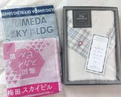 今治 エアパイル フェイスタオル他　ハンドタオル2枚