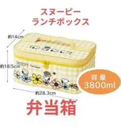 スヌーピー 保冷バッグ付きランチセット ピクニック 行楽 日本製