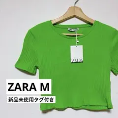 新品　未使用　タグ付き　ZARA クロップド　ミニ丈　チビT ショート丈　リブ
