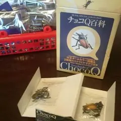 チョコキュー いろいろ