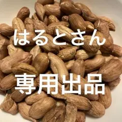 はるとさん、専用出品