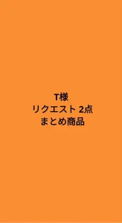 T様 リクエスト 2点 まとめ商品