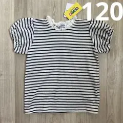 【ボーダー】120 新品未使用　しまむら　キッズ　トップス　半レース