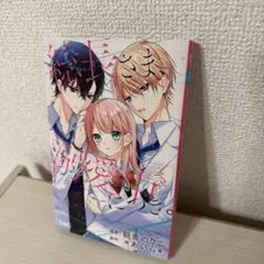 総長さま、溺愛中につき。