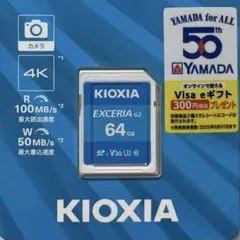 キオクシア EXCERIA G2 4K録画向けSDXCカード 64GB 日本製