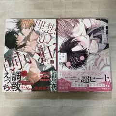 職場のイケメン営業は理想の飼い主様　2 特装版小冊子付き