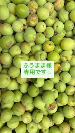 青梅　ふうまま様 専用です⭐︎