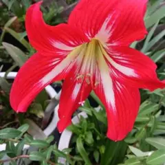 勝行様 リクエスト 3点 まとめ商品