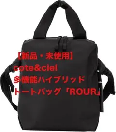 Item thumbnail for item 453a33a4-56ba-4fd7-a316-f5b289cac8fd