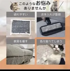 Item thumbnail for item e247f222-2829-4c6d-b671-bb16cba3b0bb