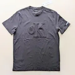 Calvin Klein Tシャツ シンプル モノグラム ブラック ビックロゴM