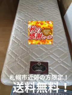 札幌市近郊の方限定！送料無料！シモンズ ビューティレストエクセレント シングル