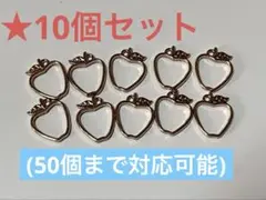 レジン枠 りんご 10個(50個まで対応可能)