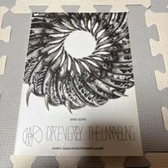 DIR EN GREY THE UNRAVELING 完全生産限定盤 - メルカリ