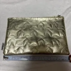 ポーチ星